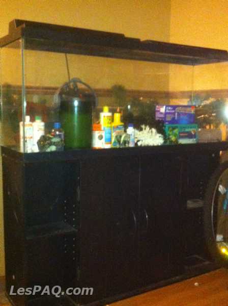 Aquarium usagé à vendre