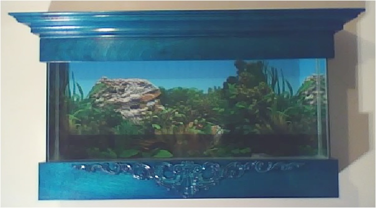 Aquarium sur mesure