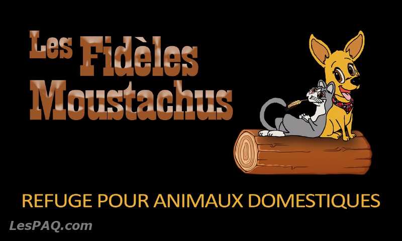 Refuge pour animaux domestiques et plus