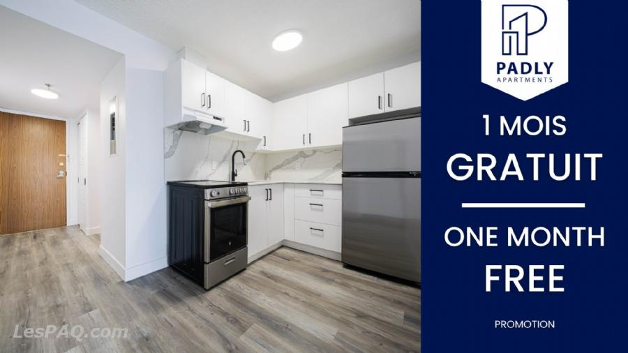 1 MOIS GRATUIT - Centre-ville Mtl Studio & 3 1/2