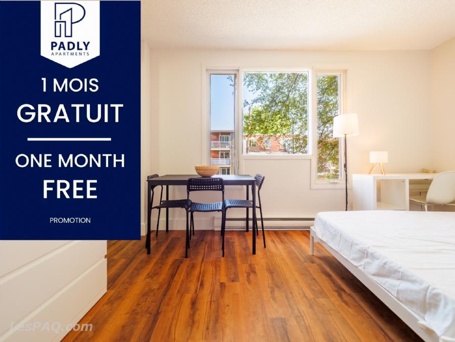 Studio & 1 Ch. Meublé et Rénové dès 920$